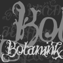 Botanink font family