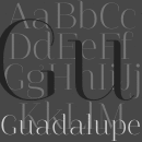 Guadalupe font family