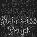Steinweiss Script Schriftfamilie