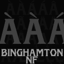 Binghamton NF font family