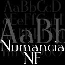 Numancia NF font family