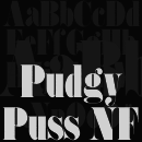 Pudgy Puss NF font family