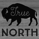 True North font family