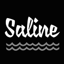 Saline font family