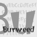 Burweed™ Schriftfamilie