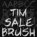 Tim Sale Brush font family