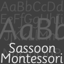 Sassoon Montessori famille de polices
