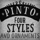 Pinto font family