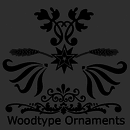 Adobe Wood Type® font family