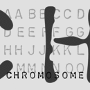 Chromosome Schriftfamilie