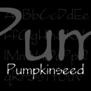 Pumpkinseed font family