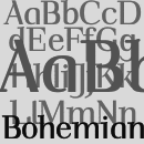 Bohemian™ Schriftfamilie