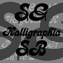 SG Kalligraphia SB Schriftfamilie