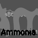 Ammonia famille de polices