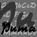 Puma Familia tipográfica