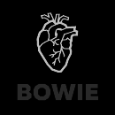 Bowie font family