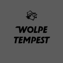 Wolpe Tempest™ font family