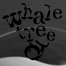 F2F Whale Tree™ font family