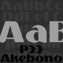 P22 Akebono font family