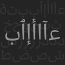 FF Amman™ Serif font family