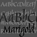 Marigold™ font family