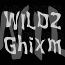 WILD2 Ghixm™ famille de polices
