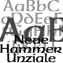 Neue Hammer Unziale™ font family